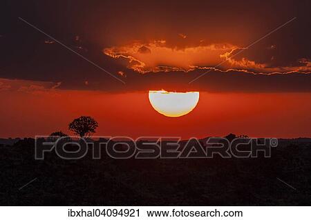 Sunset, silhouette of quiver trees, Garas Park, near Keetmanshoop, Namibia, Africa View Large Photo Image Stock Image - Sunset, silhouette of quiver trees, Garas Park, near Keetmanshoop, Namibia, Africa. Fotosearch