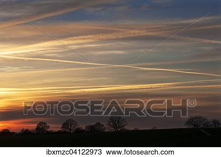 Stock Image - Sunset with contrails in the sky, silhouetted trees, Mecklenburg-Western Pomerania, Germany, Europe. Fotosearch
