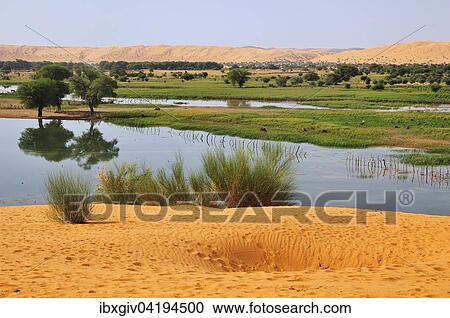 Temporary lake after rain in the oasis, Moudjeria, Tagant region, Mauritania, Africa View Large Photo Image Stock Image - Temporary lake after rain in the oasis, Moudjeria, Tagant region, Mauritania, Africa. Fotosearch