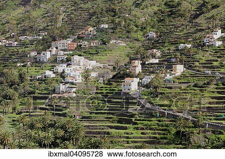 Stock Photo - Terraced fields, Valle Gran Rey, La Gomera, Canary Islands, Spain, Europe. Fotosearch