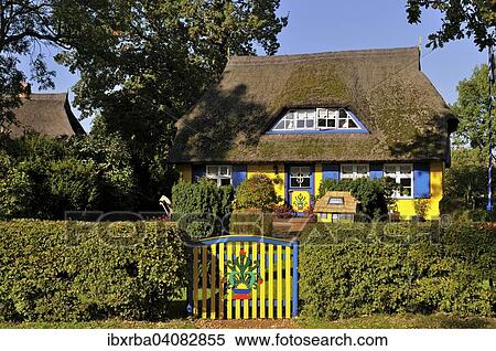 Thatched cottage, house, Darss, Western Pomerania Lagoon Area National Park, Mecklenburg-Western Pomerania, Germany, Europe View Large Photo Image Stock Photography - Thatched cottage, house, Darss, Western Pomerania Lagoon Area National Park, Mecklenburg-Western Pomerania, Germany, Europe. Fotosearch