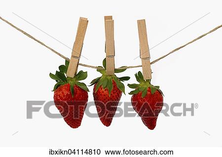 Three strawberries with wooden clothespins on a line View Large Photo Image Stock Image - Three strawberries with wooden clothespins on a line. Fotosearch
