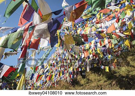 Tibetan prayer flags at the domicile of the Tibetan exile government, McLeod Ganj, Dharamsala, Himal Pradesh, India, Asia View Large Photo Image Stock Image - Tibetan prayer flags at the domicile of the Tibetan exile government, McLeod Ganj, Dharamsala, Himal Pradesh, India, Asia. Fotosearch