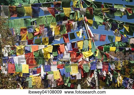 Tibetan prayer flags at the domicile of the Tibetan exile government, McLeod Ganj, Dharamsala, Himal Pradesh, India, Asia View Large Photo Image Stock Photo - Tibetan prayer flags at the domicile of the Tibetan exile government, McLeod Ganj, Dharamsala, Himal Pradesh, India, Asia. Fotosearch