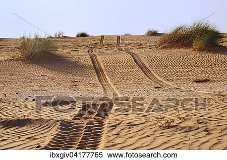 Stock Photography - Tire tracks in the desert sand, route from Atar to Tidjikja, Adrar region, Mauritania, Africa. Fotosearch