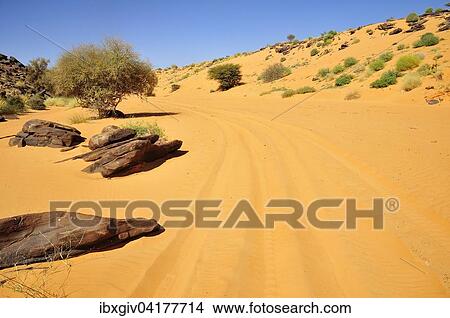 Tire tracks in the sand, route from Atar to Tidjikja, Adrar region, Mauritania, Africa View Large Photo Image Picture - Tire tracks in the sand, route from Atar to Tidjikja, Adrar region, Mauritania, Africa. Fotosearch