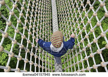 Toddler, 3 years, walking over a secured rope above treetops, Hainich Tree Top Walk, Hainich National Park, Thuringia, Germany, Europe View Large Photo Image Stock Photography - Toddler, 3 years, walking over a secured rope above treetops, Hainich Tree Top Walk, Hainich National Park, Thuringia, Germany, Europe. Fotosearch