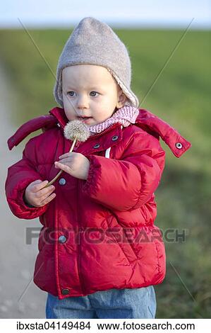 Toddler, two years, with blowball View Large Photo Image Picture - Toddler, two years, with blowball. Fotosearch