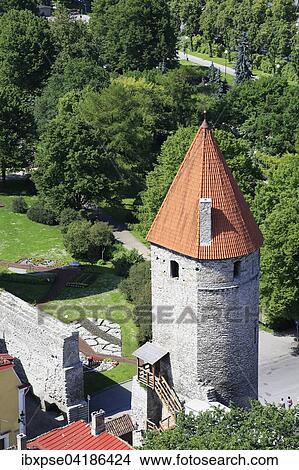 Tower of the Linnamuur town wall in the west of the Lower Town, from the tower of St. Olaf's Church, Oleviste Kirik, Tallinn, Estonia, Europe View Large Photo Image Picture - Tower of the Linnamuur town wall in the west of the Lower Town, from the tower of St. Olaf's Church, Oleviste Kirik, Tallinn, Estonia, Europe. Fotosearch