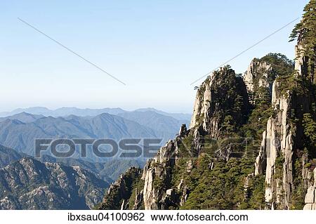 Towering granite rocks overgrown with Huangshan pines (Pinus hwangshanensis), Mount Huangshan, Huang Shan, Anhui Province, China, Asia View Large Photo Image Stock Image - Towering granite rocks overgrown with Huangshan pines (Pinus hwangshanensis), Mount Huangshan, Huang Shan, Anhui Province, China, Asia. Fotosearch