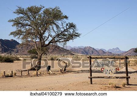 Track to the Sesriem Canyon, the Tsaris Mountains at the back, Namib-Naukluft Park, Namibia, Africa View Large Photo Image Stock Photo - Track to the Sesriem Canyon, the Tsaris Mountains at the back, Namib-Naukluft Park, Namibia, Africa. Fotosearch