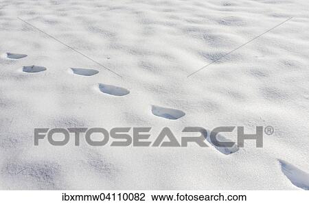Stock Image - Tracks in the snow. Fotosearch