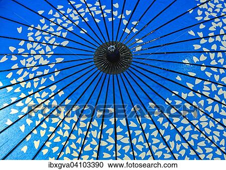 Traditional blue oil paper umbrella, Japanese style with cherry blossom petals, Japan, Asia View Large Photo Image Stock Image - Traditional blue oil paper umbrella, Japanese style with cherry blossom petals, Japan, Asia. Fotosearch