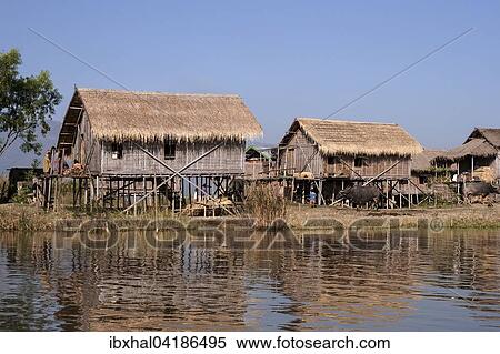 Traditional stilt houses on the Inle Lake, Shan State, Myanmar, Asia View Large Photo Image Stock Photography - Traditional stilt houses on the Inle Lake, Shan State, Myanmar, Asia. Fotosearch