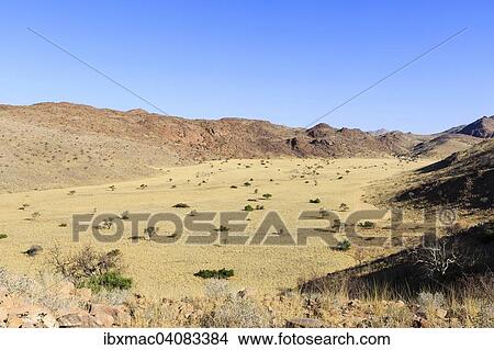 Tributary valley of the Swakop River, dry river, Tsaobis farm, Namib Desert, Namibia, Africa View Large Photo Image Picture - Tributary valley of the Swakop River, dry river, Tsaobis farm, Namib Desert, Namibia, Africa. Fotosearch