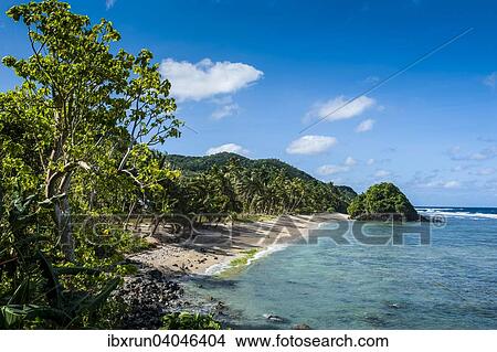 Two Dollar Beach on Tutuila island, American Samoa, South Pacific, Oceania View Large Photo Image Picture - Two Dollar Beach on Tutuila island, American Samoa, South Pacific, Oceania. Fotosearch