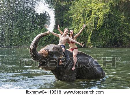 Two teenagers sitting on an Asian Elephant (Elephas maximus), being sprayed with water from the trunk, Kanchanaburi, Thailand, Asia View Large Photo Image Stock Photo - Two teenagers sitting on an Asian Elephant (Elephas maximus), being sprayed with water from the trunk, Kanchanaburi, Thailand, Asia. Fotosearch
