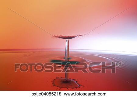 Two water drops colliding and forming a columnar structure View Large Photo Image Stock Photo - Two water drops colliding and forming a columnar structure. Fotosearch