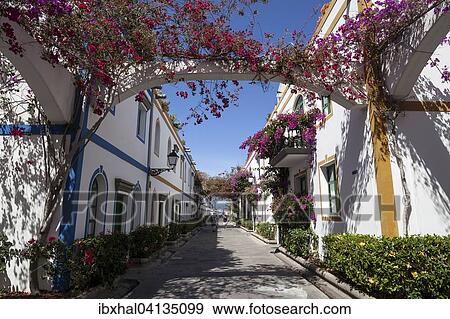 Typical alleyway in Puerto de Mogan, Gran Canaria, Canary Islands, Spain, Europe View Large Photo Image Stock Photo - Typical alleyway in Puerto de Mogan, Gran Canaria, Canary Islands, Spain, Europe. Fotosearch