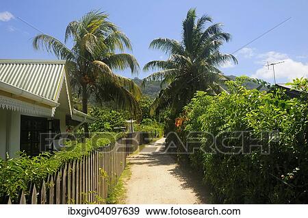 Typical alleyway in the village of La Passe, La Digue Island, La Digue and Inner Islands, Seychelles, Africa View Large Photo Image Stock Photo - Typical alleyway in the village of La Passe, La Digue Island, La Digue and Inner Islands, Seychelles, Africa. Fotosearch