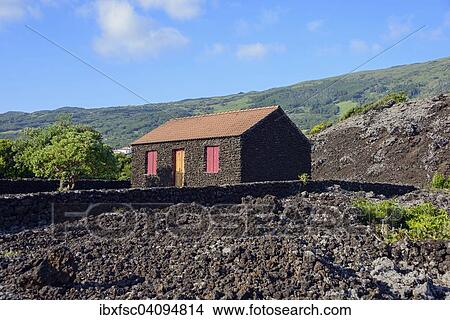 Typical house made of volcanic rocks, Sao Mateus, Pico Island, Azores, Portugal, Europe View Large Photo Image Picture - Typical house made of volcanic rocks, Sao Mateus, Pico Island, Azores, Portugal, Europe. Fotosearch