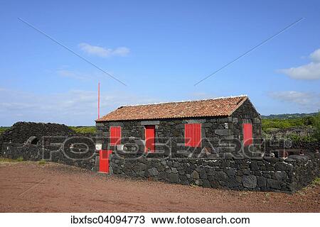 Typical house made of volcanic rocks, Verdelho wine region, Pico Island, Azores, Portugal, Europe View Large Photo Image Stock Image - Typical house made of volcanic rocks, Verdelho wine region, Pico Island, Azores, Portugal, Europe. Fotosearch