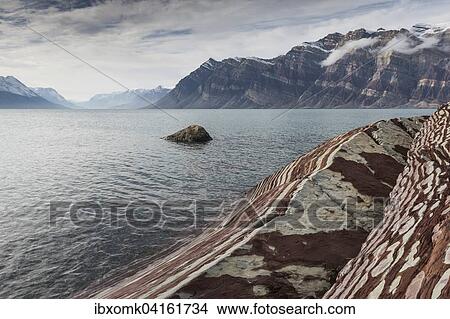 Unfolded coloured rock strata, former marine sediments, Berzelius Bjerg, Segelsallskapet or Segelselskapets Fjord, Northeast Greenland, Greenland, North America View Large Photo Image Picture - Unfolded coloured rock strata, former marine sediments, Berzelius Bjerg, Segelsallskapet or Segelselskapets Fjord, Northeast Greenland, Greenland, North America. Fotosearch