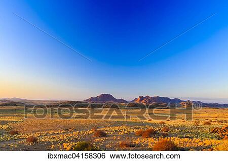 Vast landscape in the Namib Naukluft Park, Namibia, Africa View Large Photo Image Stock Photograph - Vast landscape in the Namib Naukluft Park, Namibia, Africa. Fotosearch