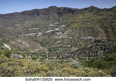 View from a hiking trail below Roque Nublo of blooming vegetation, the Barranco de Tejeda and Tejeda, Gran Canaria, Canary Islands, Spain, Europe View Large Photo Image Stock Photography - View from a hiking trail below Roque Nublo of blooming vegetation, the Barranco de Tejeda and Tejeda, Gran Canaria, Canary Islands, Spain, Europe. Fotosearch