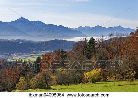 View from Hochberg mountain near Traunstein towards the Bavarian Alps, Chiemgau, Upper Bavaria, Bavaria, Germany, Europe View Large Photo Image Picture - View from Hochberg mountain near Traunstein towards the Bavarian Alps, Chiemgau, Upper Bavaria, Bavaria, Germany, Europe. Fotosearch