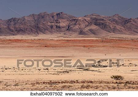 View from pad D707 road of the grassy steppe, sand dunes and the mountains of the Namib Naukluft Park, Namibia, Africa View Large Photo Image Stock Image - View from pad D707 road of the grassy steppe, sand dunes and the mountains of the Namib Naukluft Park, Namibia, Africa. Fotosearch