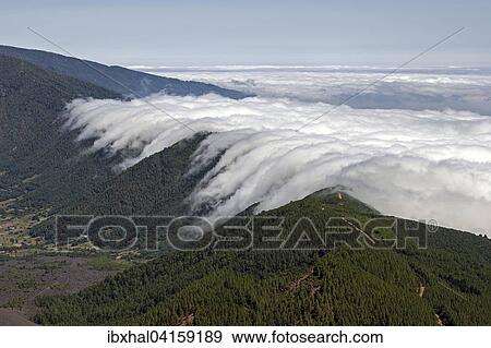 View from Pico Birigoyo onto the pine forest and the waterfall of clouds above the Cumbre Nueva, La Palma, Canary Islands, Spain, Europe View Large Photo Image Stock Photo - View from Pico Birigoyo onto the pine forest and the waterfall of clouds above the Cumbre Nueva, La Palma, Canary Islands, Spain, Europe. Fotosearch