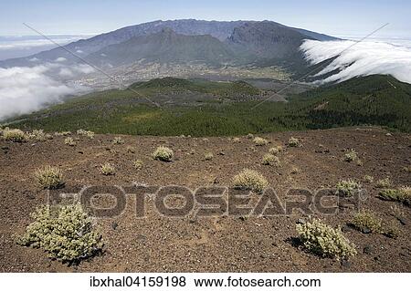 View from Pico Birigoyo onto the pine forest and the waterfall of clouds above the Cumbre Nueva, Valle Aridane and Caldere de Taburiente behind, La Palma, Canary Islands, Spain, Europe View Large Photo Image Stock Photo - View from Pico Birigoyo onto the pine forest and the waterfall of clouds above the Cumbre Nueva, Valle Aridane and Caldere de Taburiente behind, La Palma, Canary Islands, Spain, Europe. Fotosearch