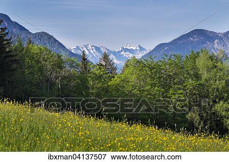 View from Strassberg by Benediktbeuern, Wetterstein mountains behind, Upper Bavaria, Bavaria, Germany, Europe View Large Photo Image Stock Photo - View from Strassberg by Benediktbeuern, Wetterstein mountains behind, Upper Bavaria, Bavaria, Germany, Europe. Fotosearch