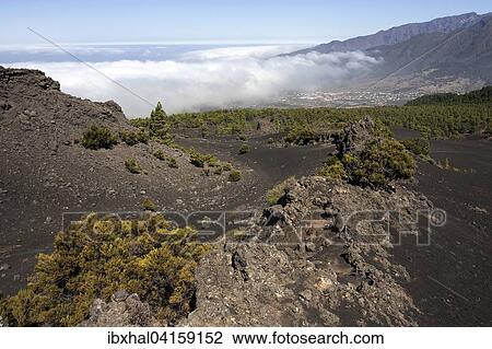 View from the Parque Natural de Cumbre Vieja towards the Valle Aridane and the Caldera de Taburiente, La Palma, Canary Islands, Spain, Europe View Large Photo Image Stock Image - View from the Parque Natural de Cumbre Vieja towards the Valle Aridane and the Caldera de Taburiente, La Palma, Canary Islands, Spain, Europe. Fotosearch