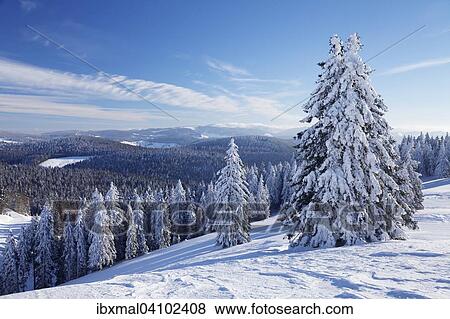 View of Feldberg, winter landscape, Belchen, Black Forest, Baden-Wurttemberg, Germany, Europe View Large Photo Image Stock Photo - View of Feldberg, winter landscape, Belchen, Black Forest, Baden-Wurttemberg, Germany, Europe. Fotosearch