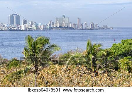 Stock Image - View of the districts of Centro Habana and El Verdado, Havana, Ciudad de La Habana, Cuba, North America. Fotosearch