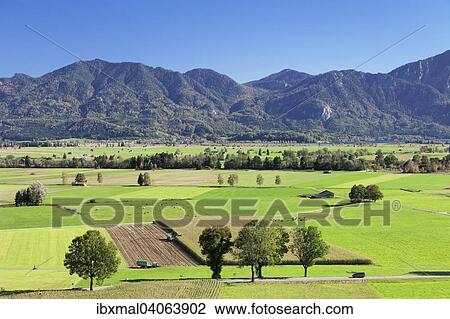 View of the Kochelmoos region, Upper Bavaria, Bavaria, Germany, Europe View Large Photo Image Stock Image - View of the Kochelmoos region, Upper Bavaria, Bavaria, Germany, Europe. Fotosearch
