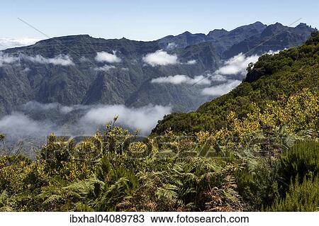 View of the mountains of the Parque Natural da Madeira, Madeira, Portugal, Europe View Large Photo Image Stock Image - View of the mountains of the Parque Natural da Madeira, Madeira, Portugal, Europe. Fotosearch