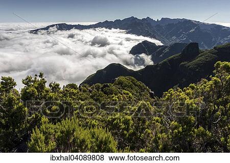 View of the mountains of the Parque Natural da Madeira, Passat clouds are stopped by the mountain slopes, Madeira, Portugal, Europe View Large Photo Image Stock Photo - View of the mountains of the Parque Natural da Madeira, Passat clouds are stopped by the mountain slopes, Madeira, Portugal, Europe. Fotosearch