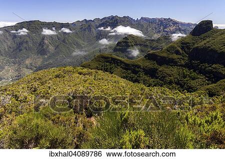 View of the mountains of the Parque Natural da Madeira, Madeira, Portugal, Europe View Large Photo Image Stock Photograph - View of the mountains of the Parque Natural da Madeira, Madeira, Portugal, Europe. Fotosearch