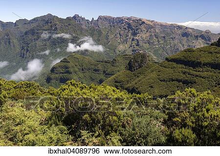 View of the mountains of the Parque Natural da Madeira, Madeira, Portugal, Europe View Large Photo Image Stock Photograph - View of the mountains of the Parque Natural da Madeira, Madeira, Portugal, Europe. Fotosearch