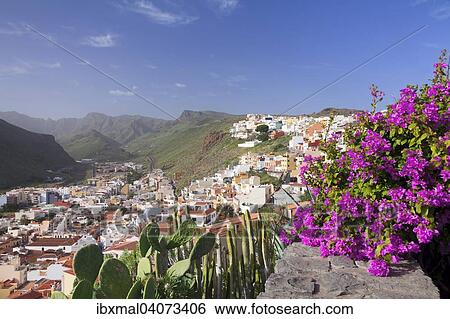 View of the town with a flowering Bougainvillea at the front, San Sebastian, La Gomera, Canary Islands, Spain, Europe View Large Photo Image Stock Photograph - View of the town with a flowering Bougainvillea at the front, San Sebastian, La Gomera, Canary Islands, Spain, Europe. Fotosearch