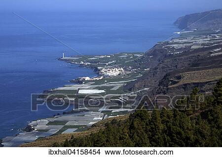 View onto banana plantations and Puerto Naos, West Coast, La Palma, Canary Islands, Spain, Europe View Large Photo Image Picture - View onto banana plantations and Puerto Naos, West Coast, La Palma, Canary Islands, Spain, Europe. Fotosearch