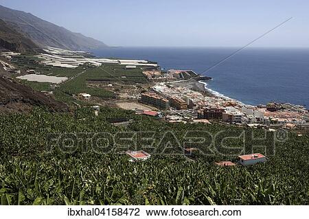 Stock Image - View onto banana plantations and Puerto Naos, La Palma, Canary Islands, Spain, Europe. Fotosearch