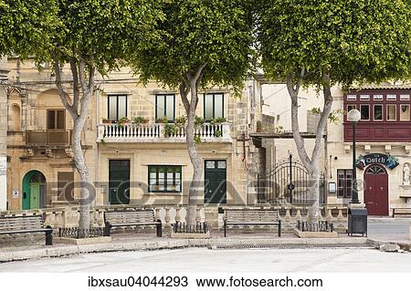 Village square with trees and historic buildings made of limestone known as Lower Corallian, Qala, Gozo, Malta, Europe View Large Photo Image Stock Image - Village square with trees and historic buildings made of limestone known as Lower Corallian, Qala, Gozo, Malta, Europe. Fotosearch