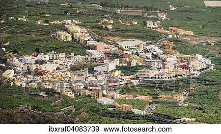 Stock Photo - Village surrounded by banana plantations, Tazacorte, La Palma, Canary Islands, Spain, Europe. Fotosearch