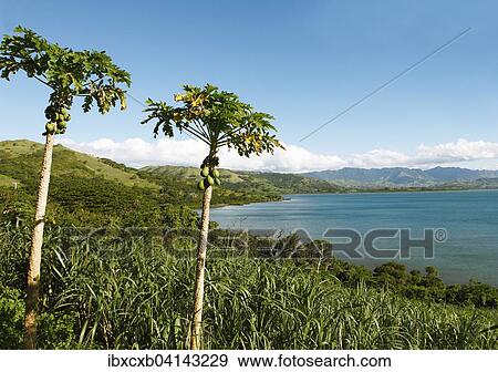 Stock Photo - Volivoli Bay, Rakiraki, Viti Levu, Fiji, Oceania. Fotosearch