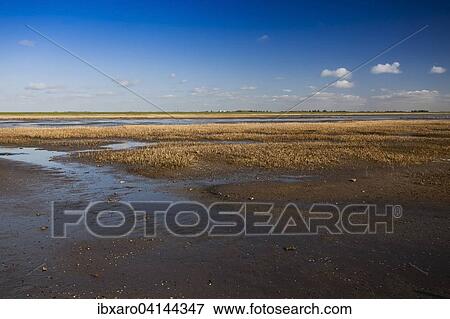 Stock Photo - Wadden Sea National Park, near Mando island, Jutland, North Sea, Denmark, Europe. Fotosearch