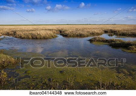 Wadden Sea National Park, near Mando island, Jutland, North Sea, Denmark, Europe View Large Photo Image Stock Photo - Wadden Sea National Park, near Mando island, Jutland, North Sea, Denmark, Europe. Fotosearch